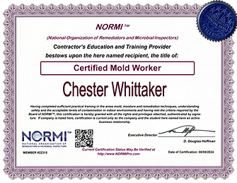 NORMI CERTIFICATE_edited.png