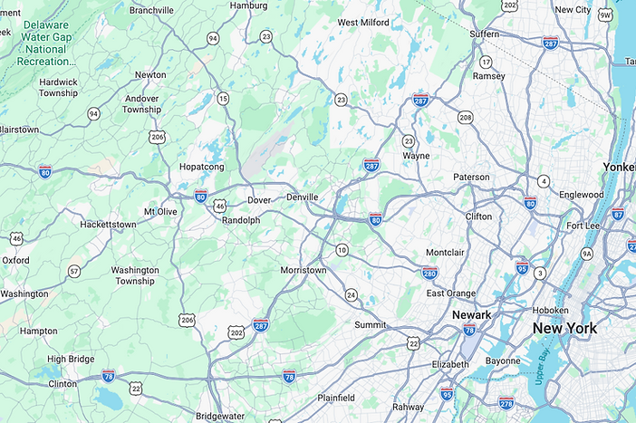 Google Mold Map