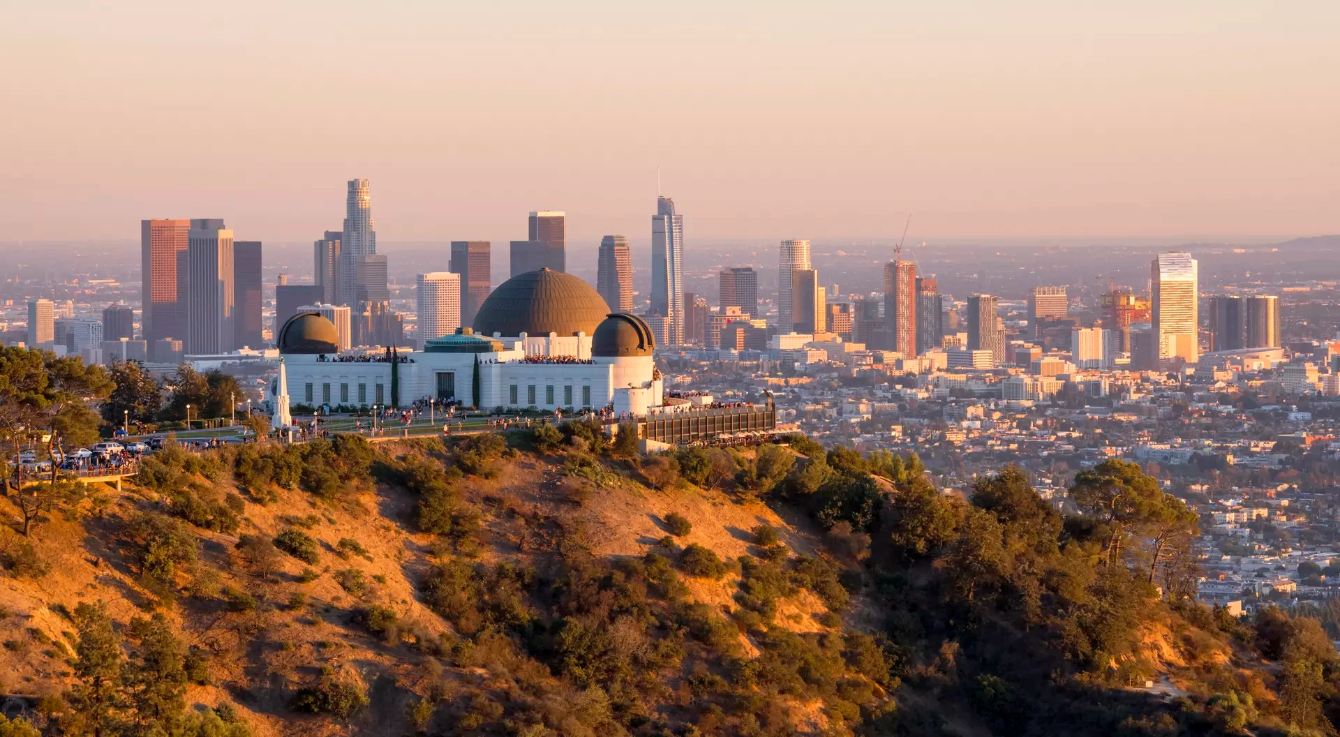 Pacific Coast Mold & Air Assessors LLC cover