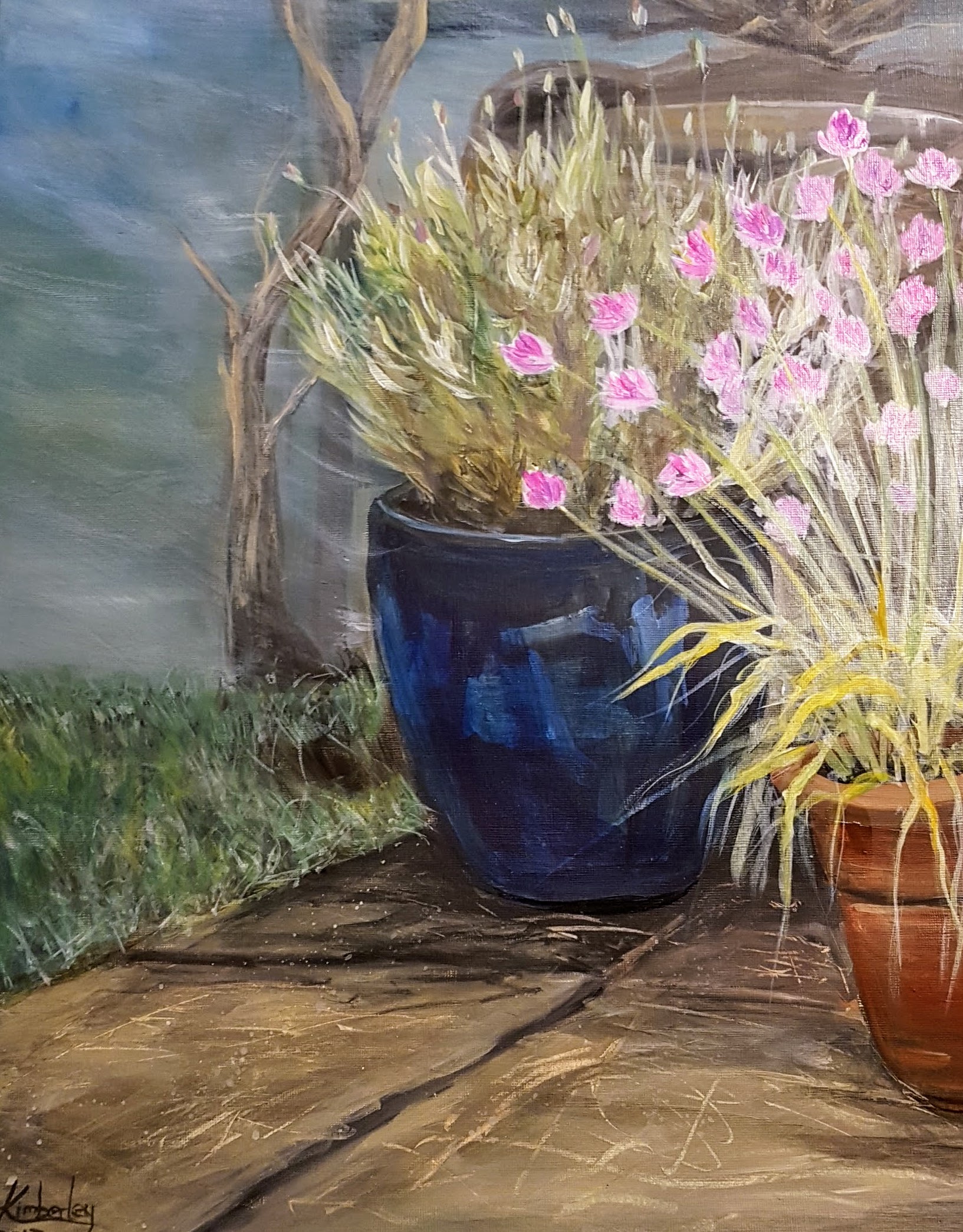 Plant pot study (2017