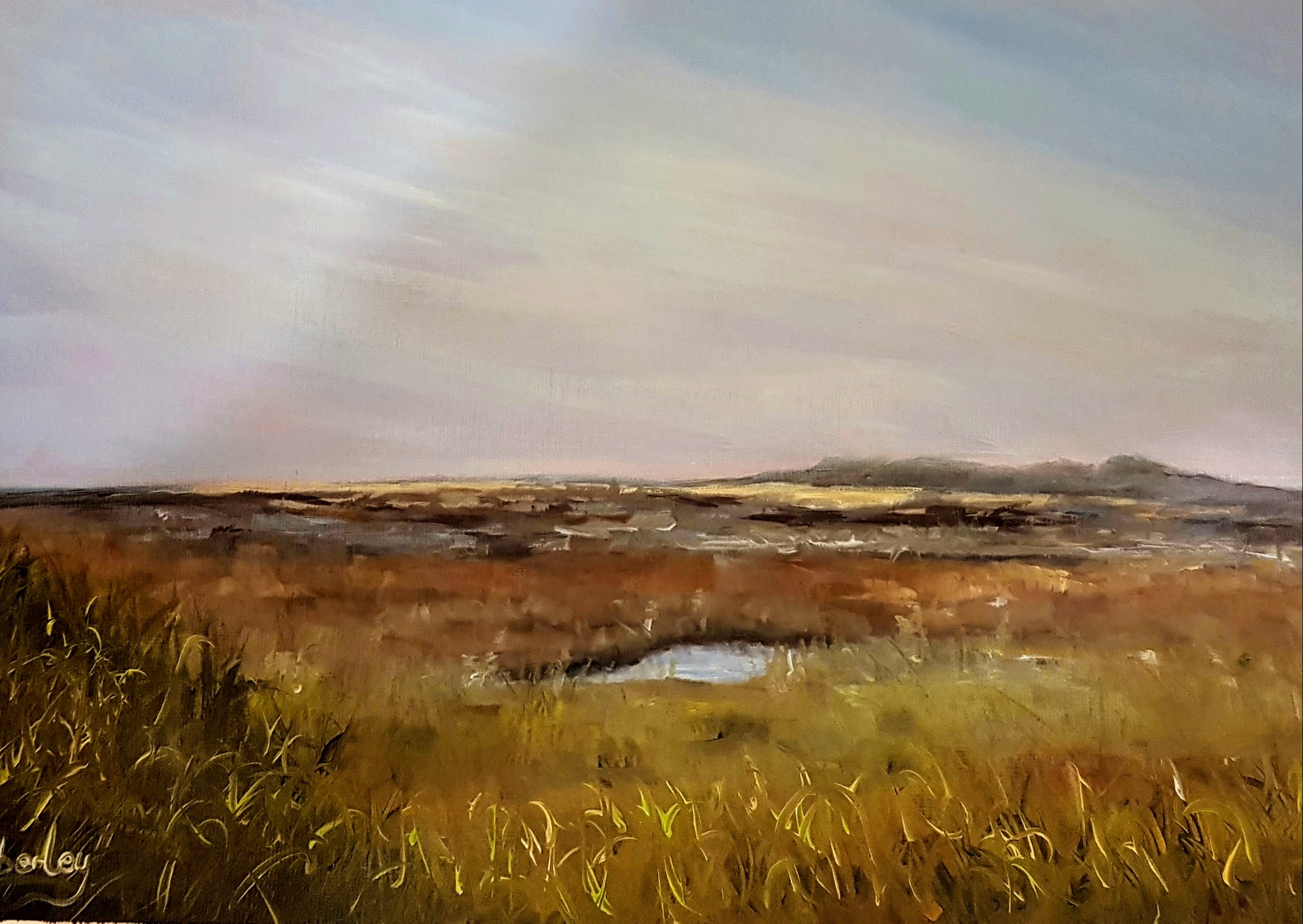 Stiffkey Marshes, Norfolk (2017)