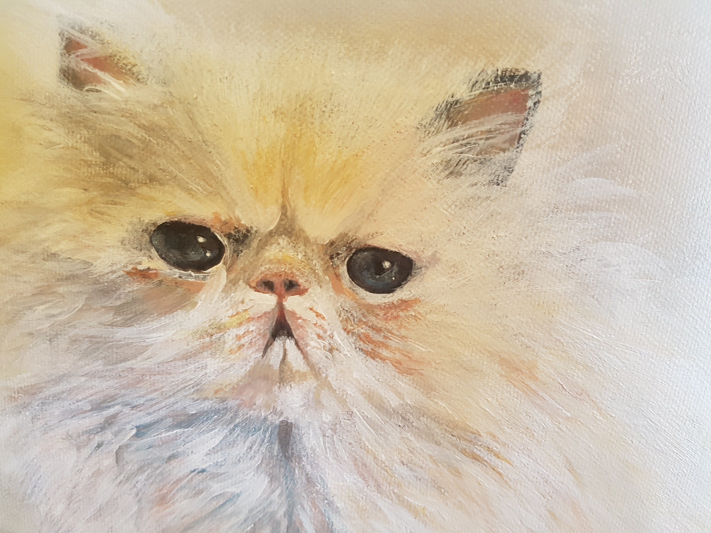 Pretty Kitty(2017)