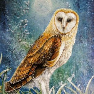 WendyKimberleyArt