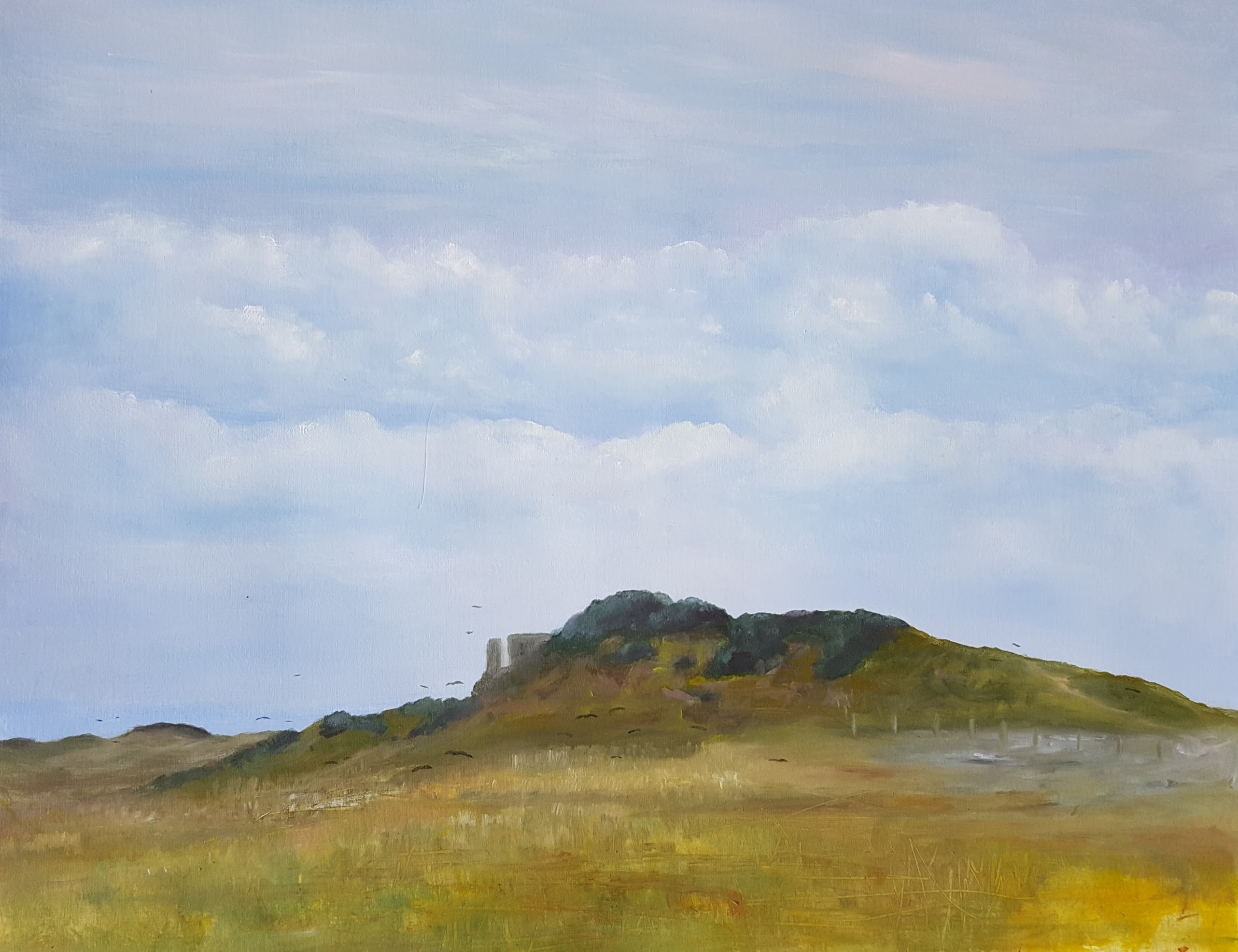 Salt House Marsh (2017)