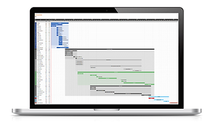 Gant Chart in Macbook.png