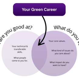 Combine your skills & values to determine your green career