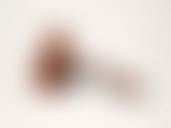 ์ํด๋ฐฐ์์ก์ ์์ ๊ณผ ์์ฝ๋ฒ์ ์ฐจ์ด์ 