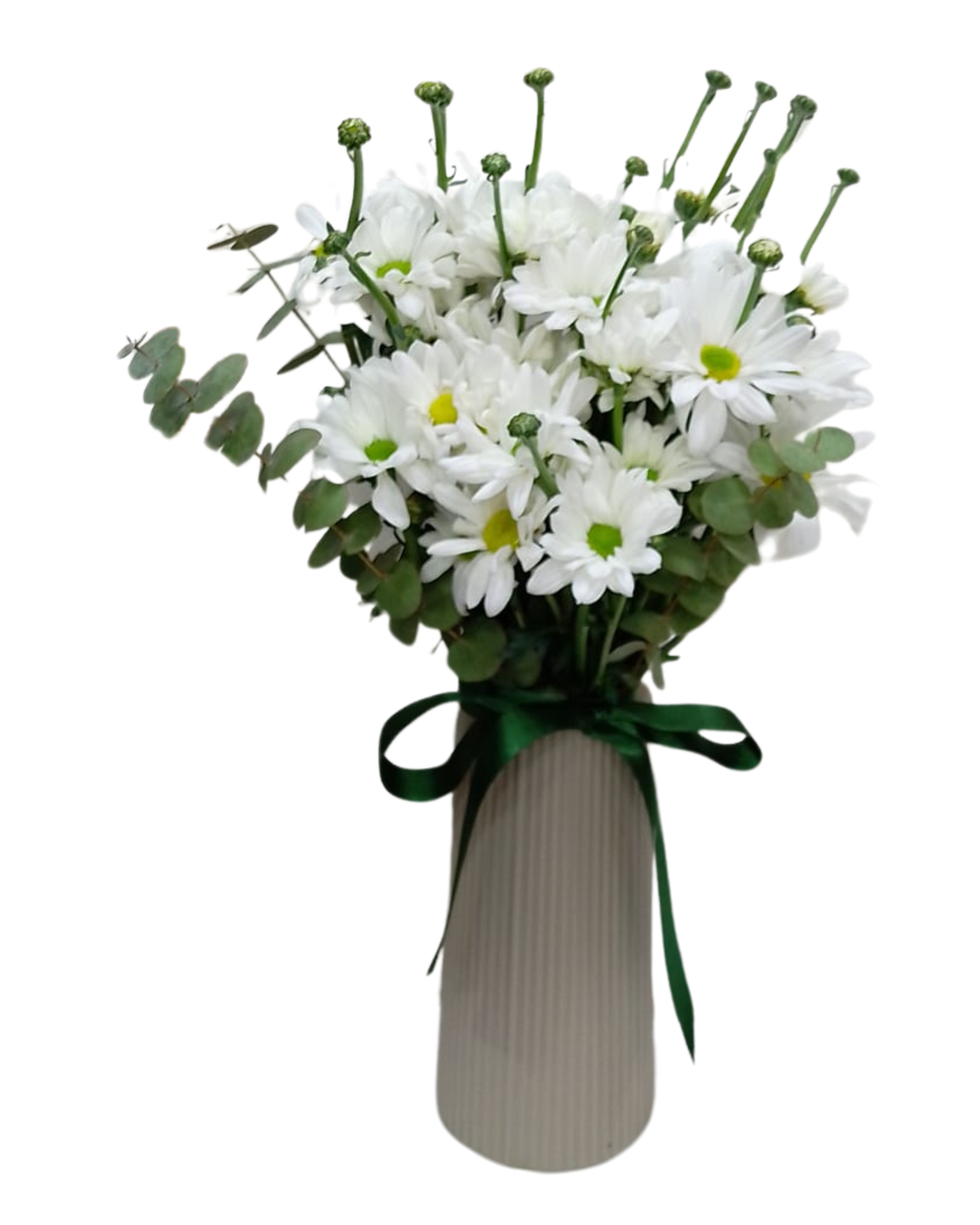 Vazoda Beyaz Papatya