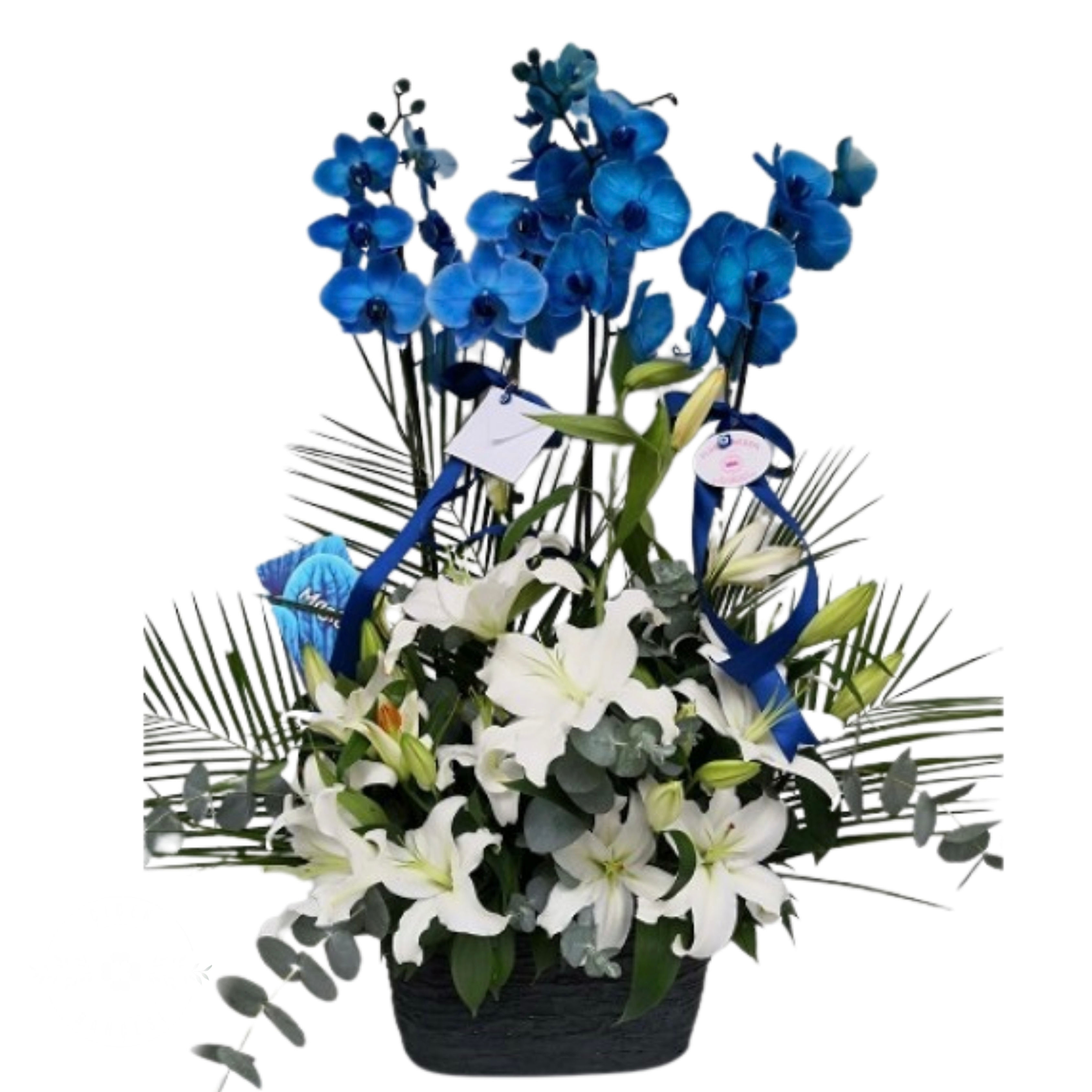 Çift Dal Mavi Renk Lilyum Aranjmanlı Orkide