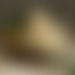 DISCOVER / OUR TOP 12 CLASSIC WINTER GIFT IDEAS