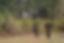 DSC01213.jpg