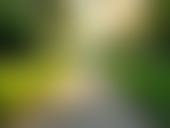 Navigating Sober Living: Your Road to Recovery