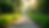 Eye-level view of a serene garden path surrounded by greenery
