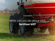 What can you do about your growing fertiliser bill?