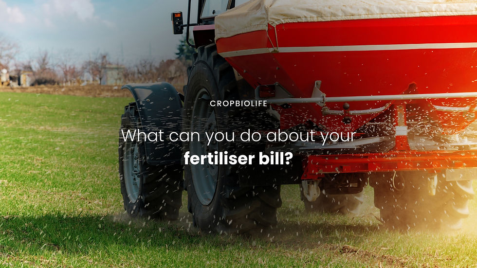 What can you do about your growing fertiliser bill?