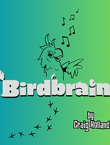Birdbrain New Logo Apr 2025.png
