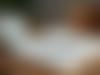 Values-Based Planning for Lasting Legacies