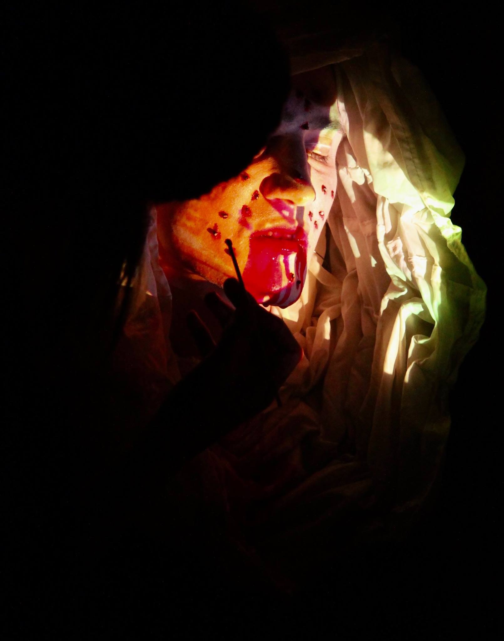 Photography: Asher Fynn