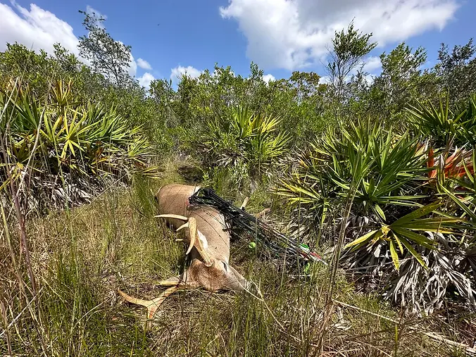 first-year-hunting-fl-public-land-v0-jy63l8gplavb1.webp