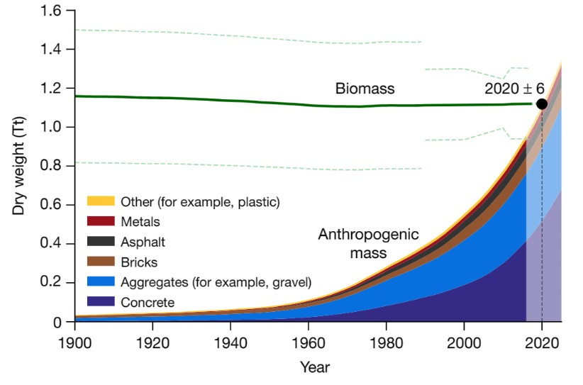 Biomass and anthropogenic mass estimates since the beginning of the twentieth century on a dry-mass basis
