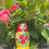 Thumbnail: A vibrant CRANBERRY Floral Nesting Dolls Set, 10 Pcs/5.5