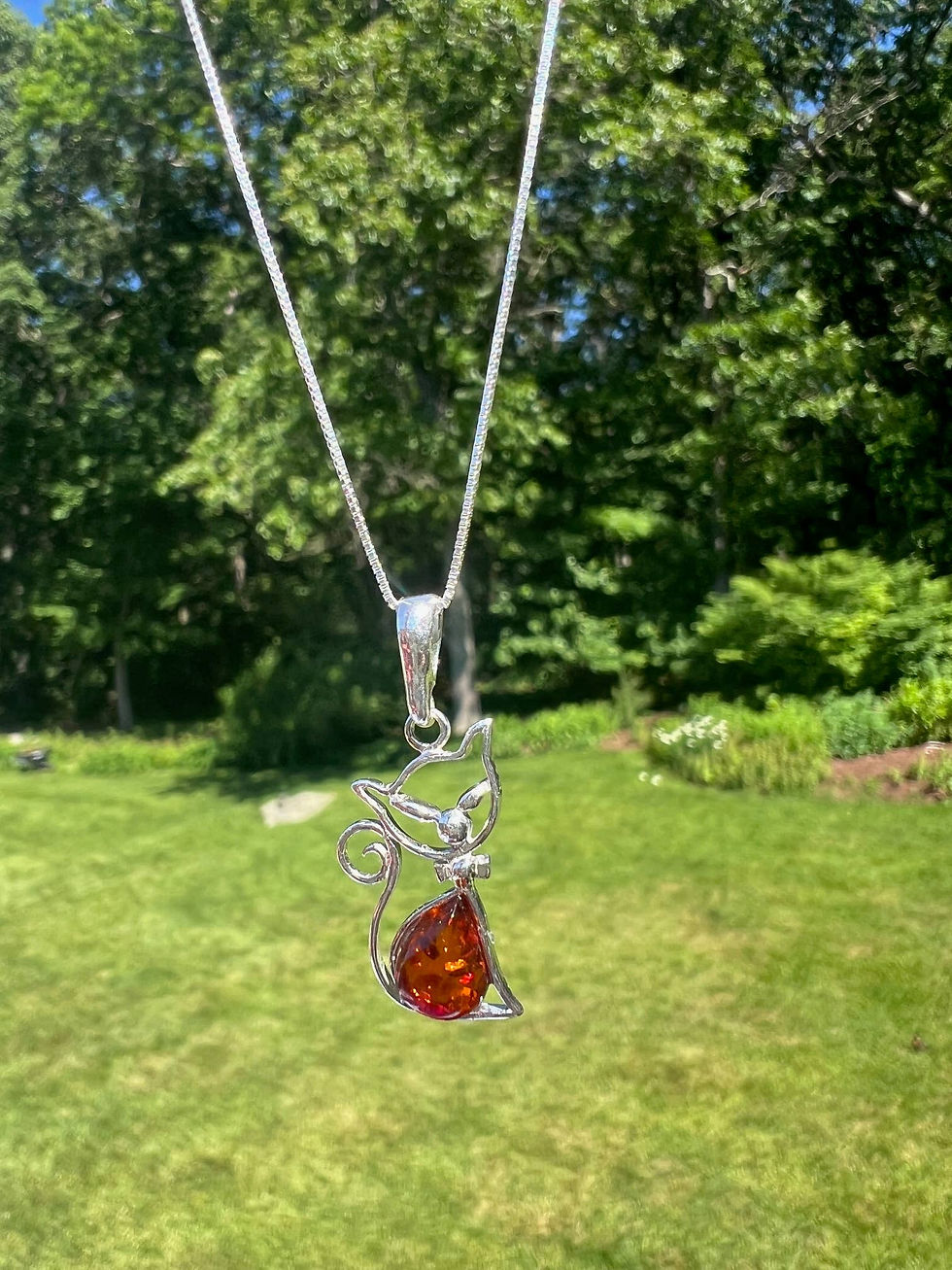 Silver necklace with amber pendant, displayed outdoors on a grassy lawn.
