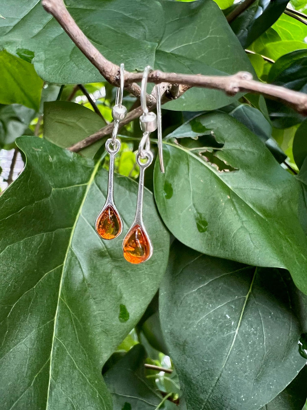 Thumbnail: Silver teardrop earrings with amber stones hanging on a leafy branch