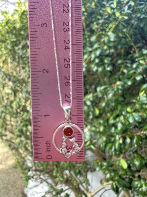 Thumbnail: Silver necklace with a pendant beside a ruler, measuring its length.