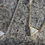 Thumbnail: Two triangle necklaces resting on a stone surface, silver and gold.