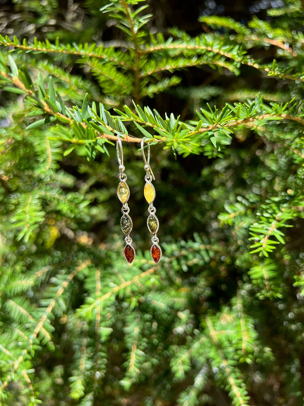 Thumbnail: Silver earrings with amber stones hanging from a evergreen tree branch.