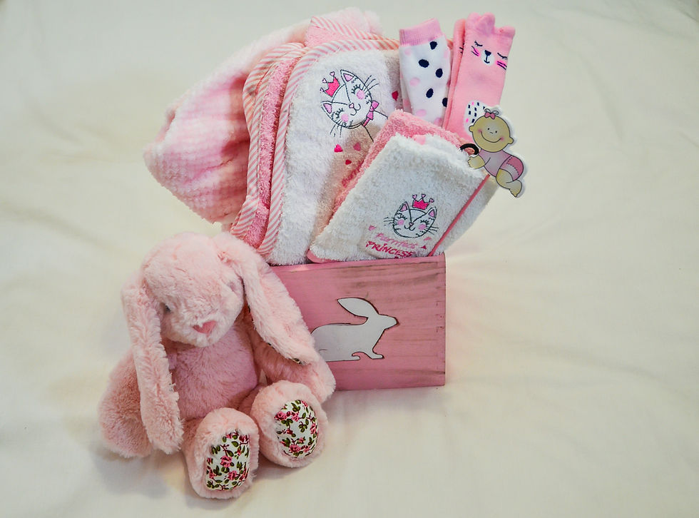 Baby girl hamper
