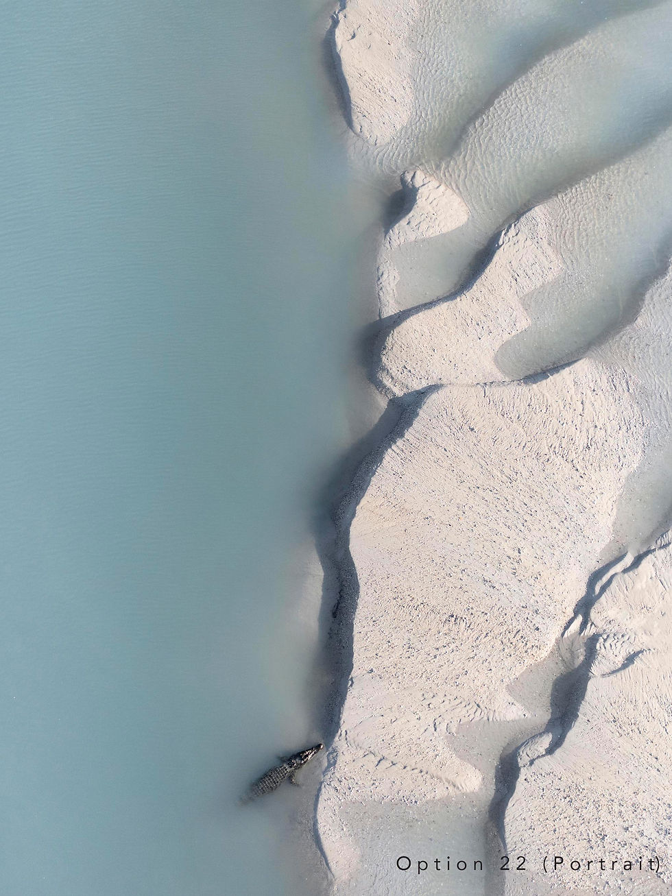 Thumbnail: Marine Collection (2)