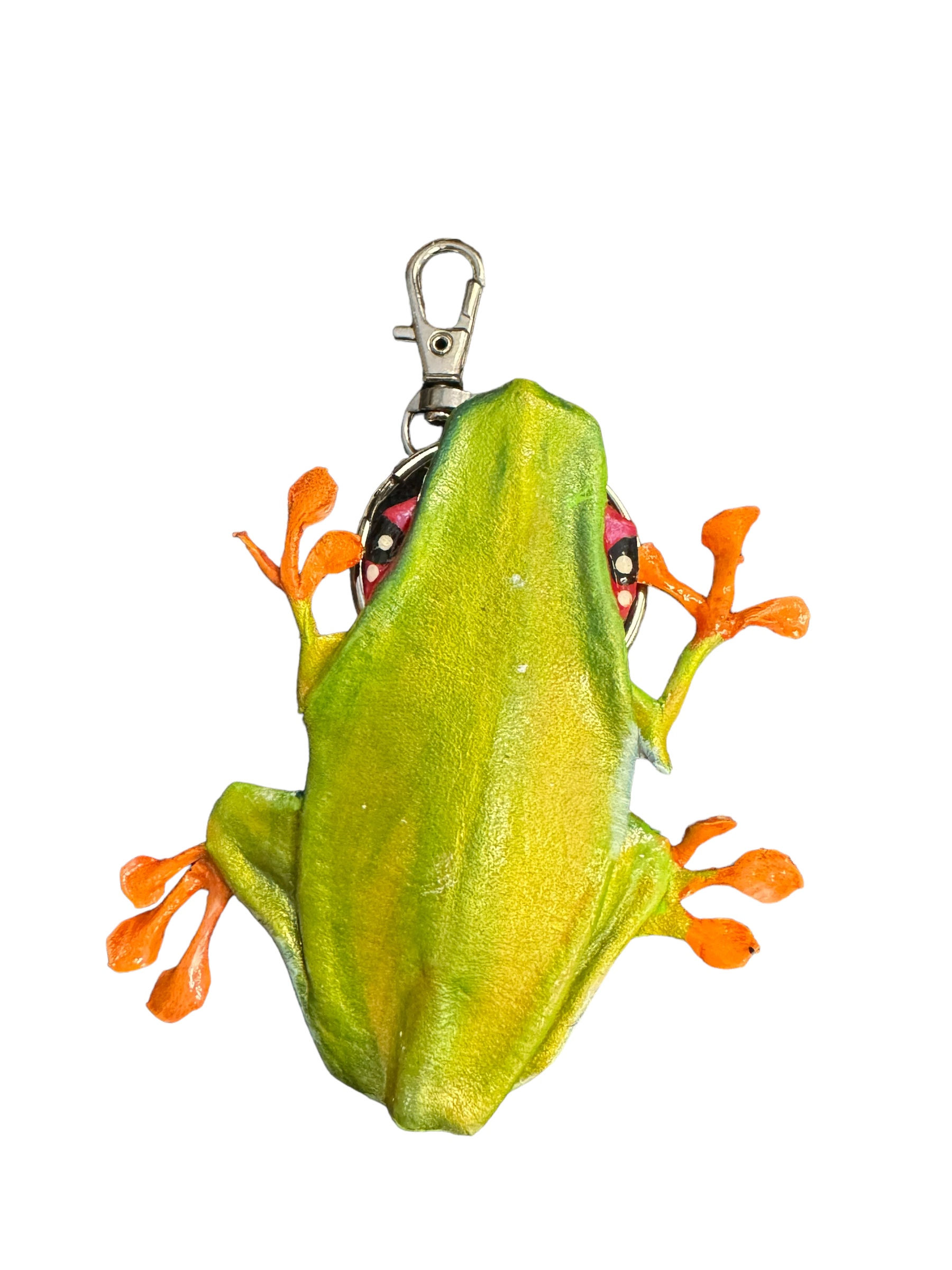 Red-Eyed Tree Frog Purse/Key Charm
