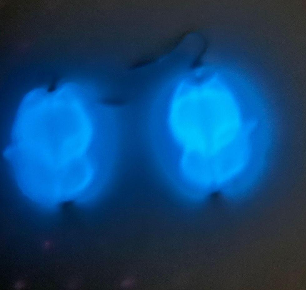 Thumbnail: Fox Earrings (Glow-In-The-Dark)