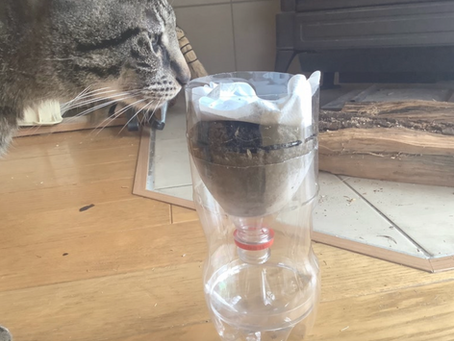 議会報告でいきもの話のナゼ？