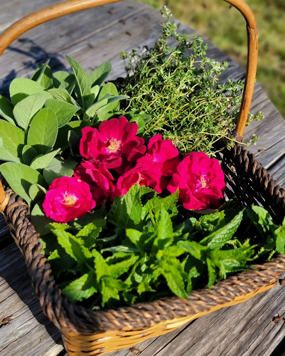 Kitchen Herbalism 101