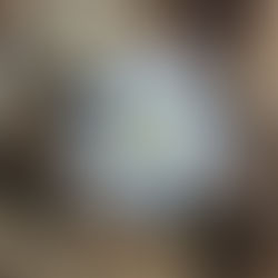 a white flower emerging from the leaves