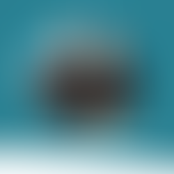 Matthieu Selva et Hubert Gilliéron