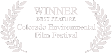 Award Xroads.gif