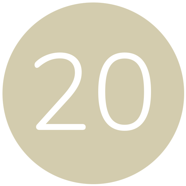 20.png