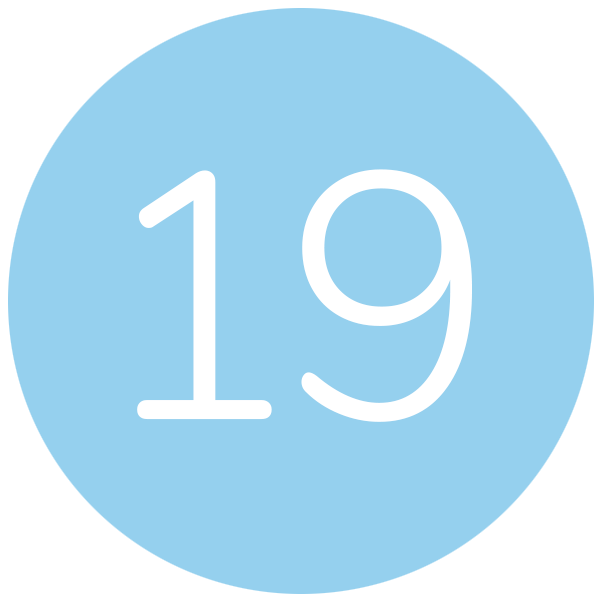 19a.png