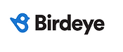 birdeye.png