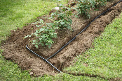 homeguide-subsurface-drip-irrigation-system-installation.jpg