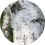 Miniature : Xylitol | Humectants