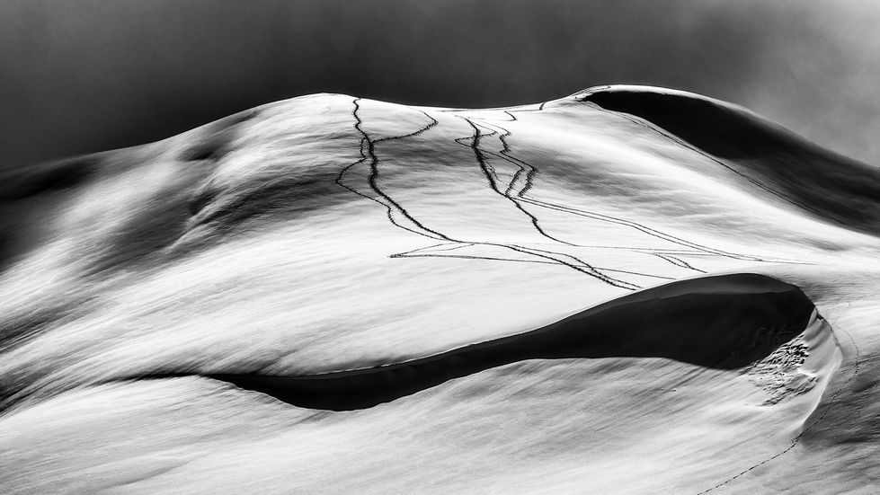 OLIVER-C-Traces_dans_la_neige