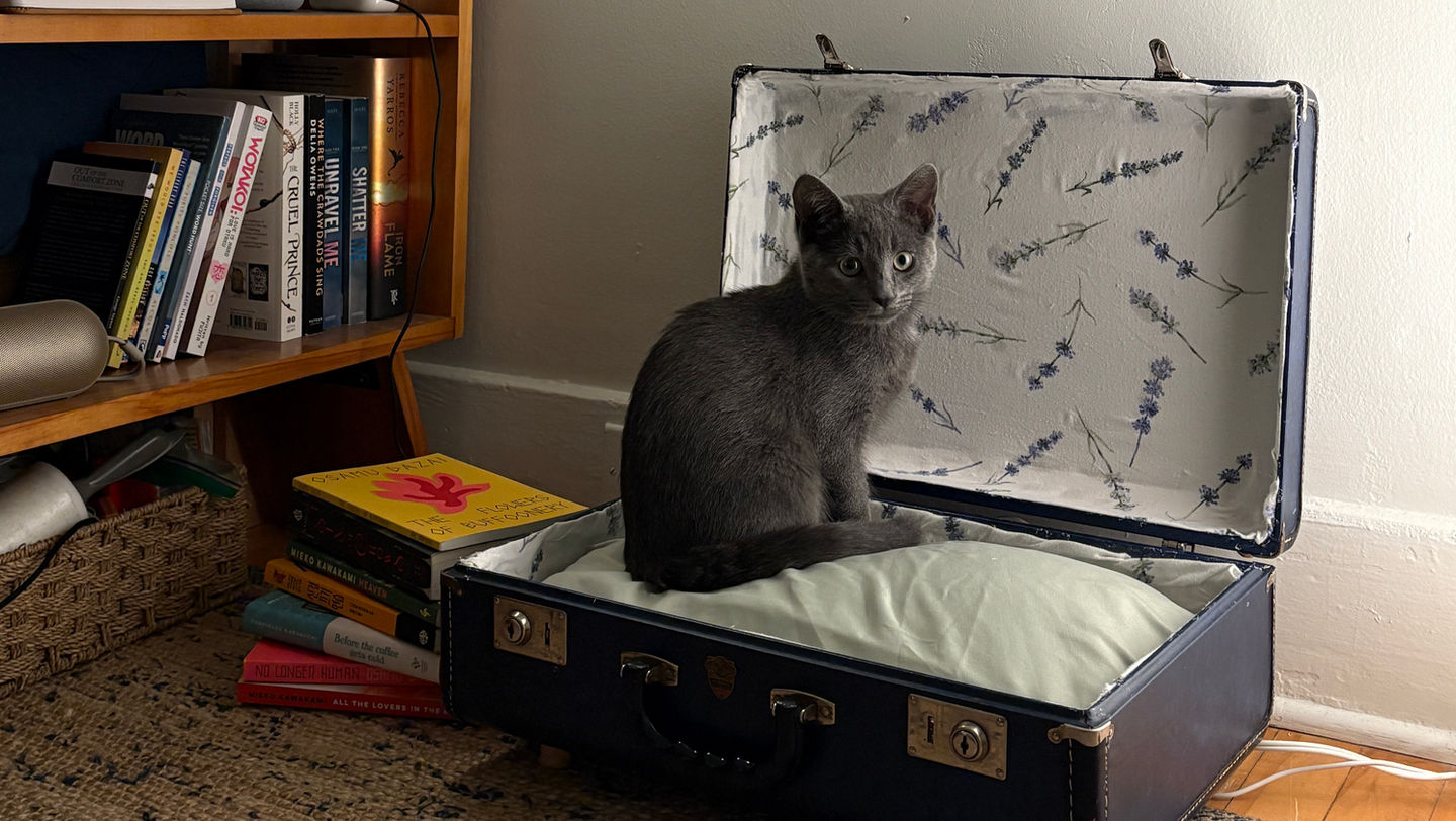 Upcycled and Recycled Décor