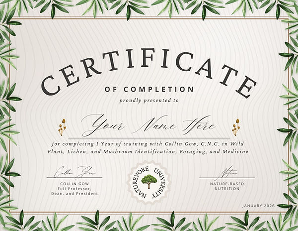 Cream Beige Aesthetic Elegant Completion Certificate.jpg