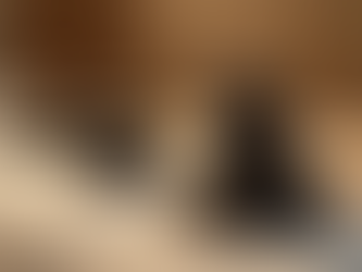 Exploring Different Styles of Massage Therapy