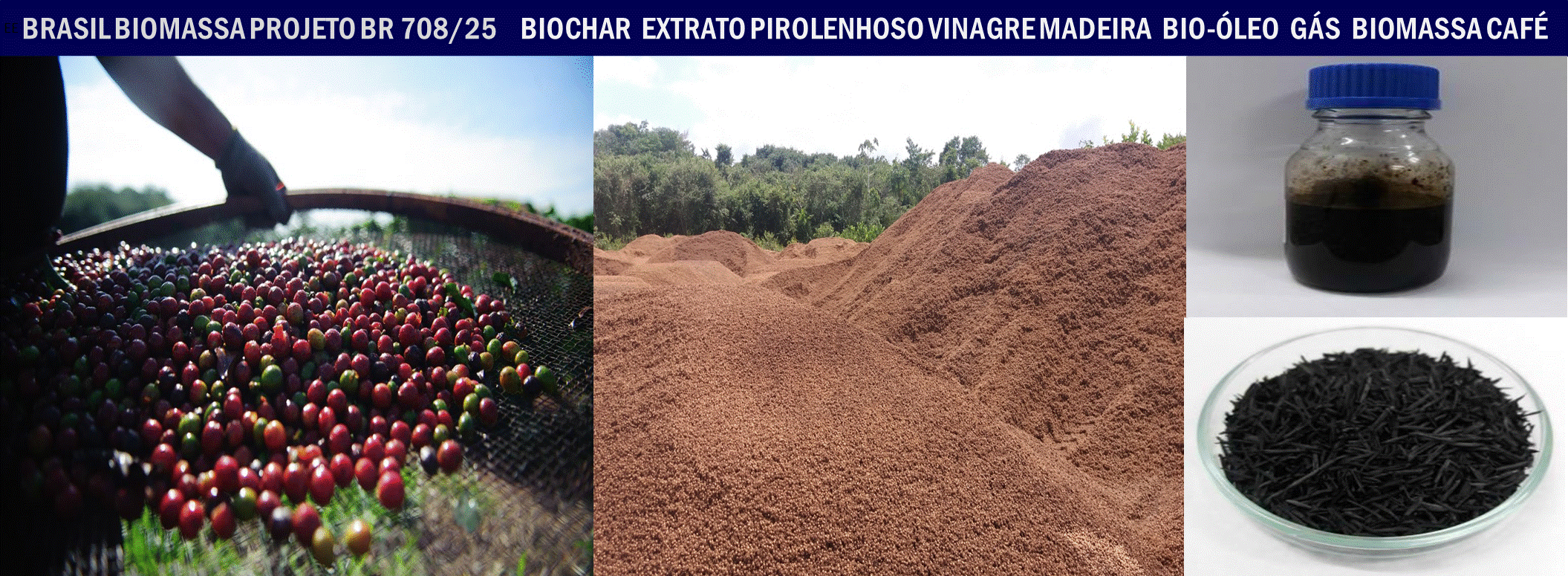 Biochar Café.gif