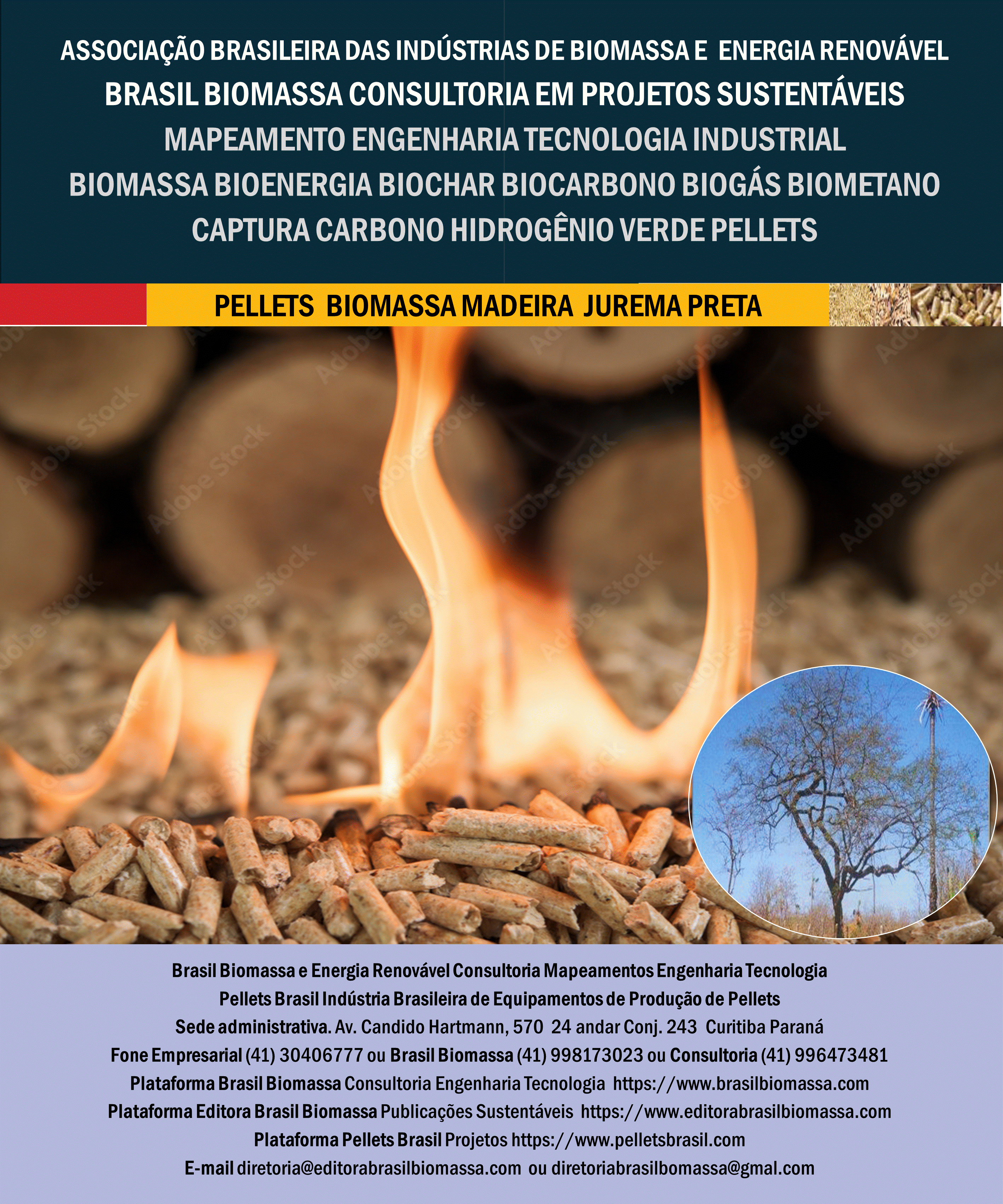 Brasil Biomassa Pellets Madeira Jurema Preta.gif